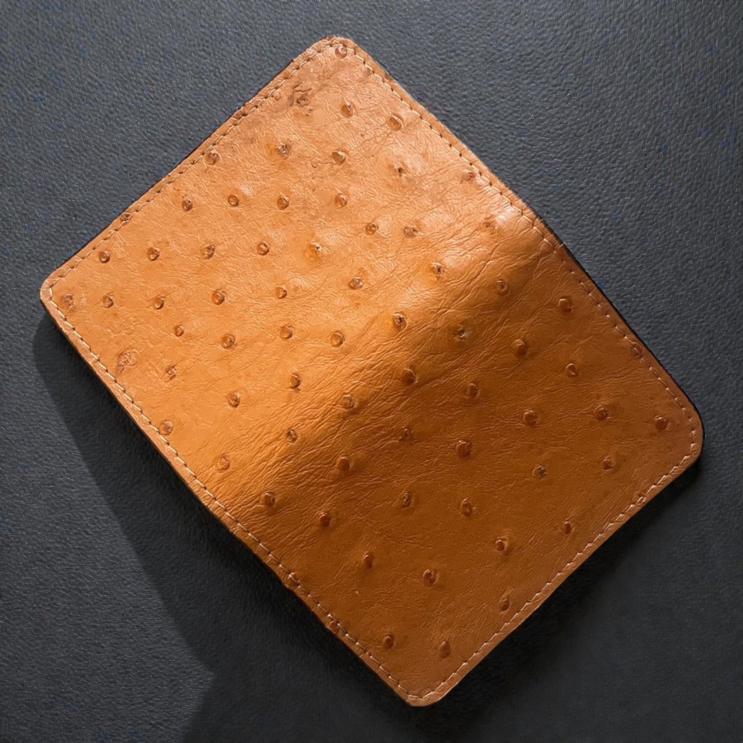 Ostrich Luxfold
